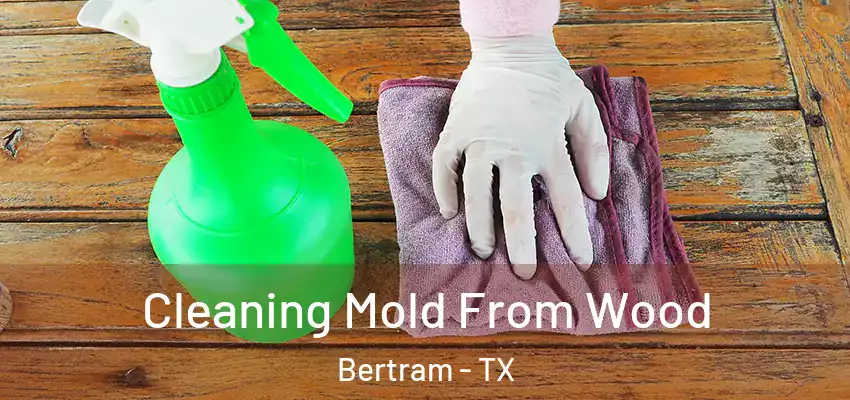 Cleaning Mold From Wood Bertram - TX