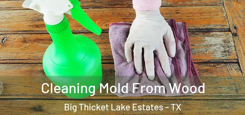 Cleaning Mold From Wood Big Thicket Lake Estates - TX