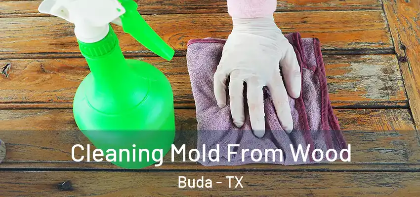  Cleaning Mold From Wood Buda - TX