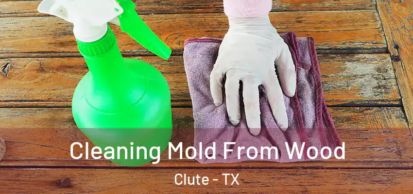  Cleaning Mold From Wood Clute - TX