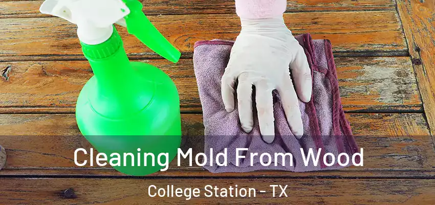 Cleaning Mold From Wood College Station - TX