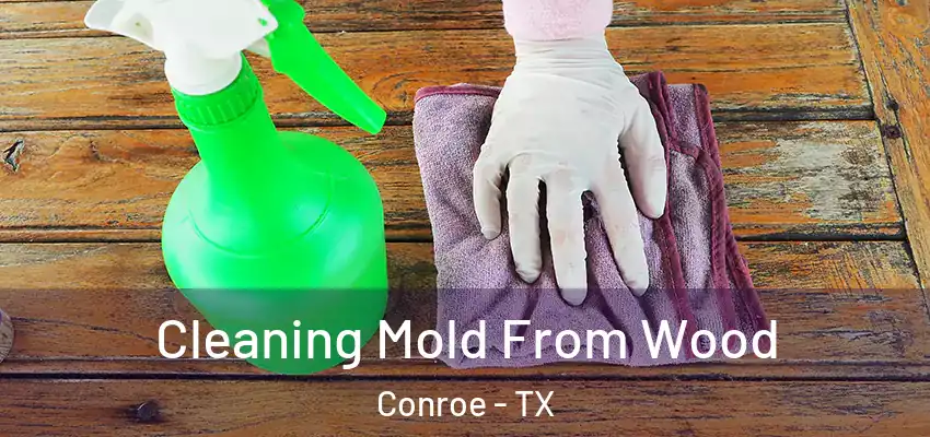  Cleaning Mold From Wood Conroe - TX