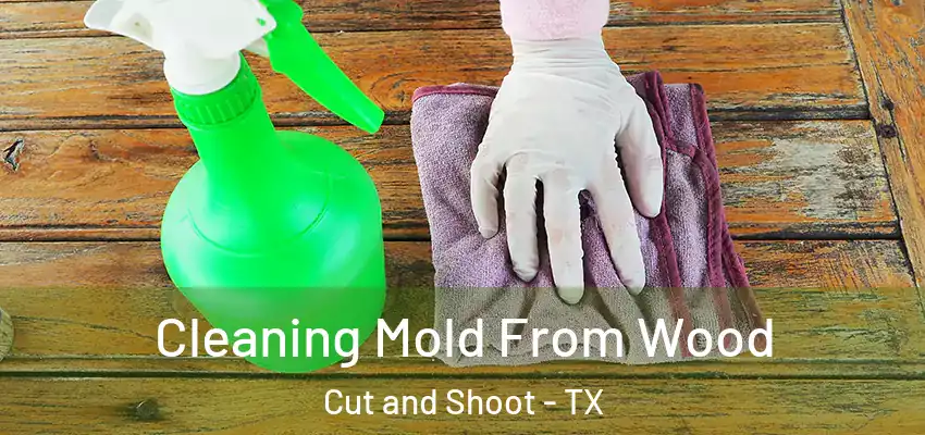 Cleaning Mold From Wood Cut and Shoot - TX