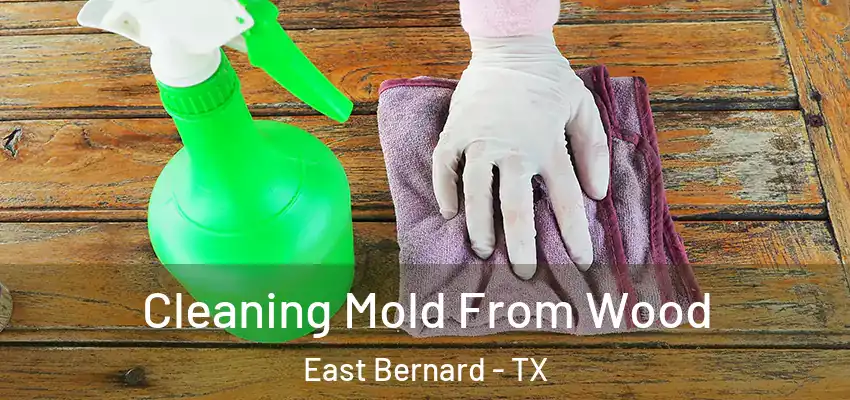  Cleaning Mold From Wood East Bernard - TX