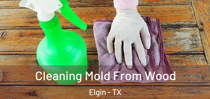  Cleaning Mold From Wood Elgin - TX