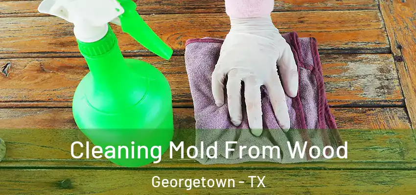  Cleaning Mold From Wood Georgetown - TX