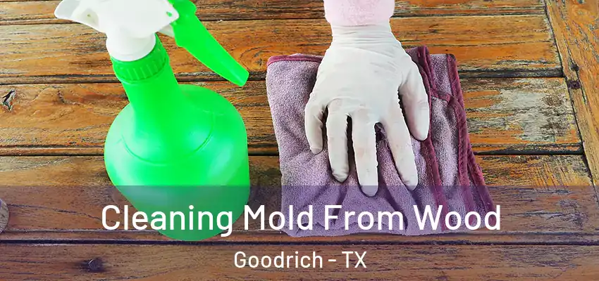 Cleaning Mold From Wood Goodrich - TX