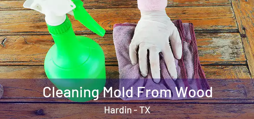Cleaning Mold From Wood Hardin - TX