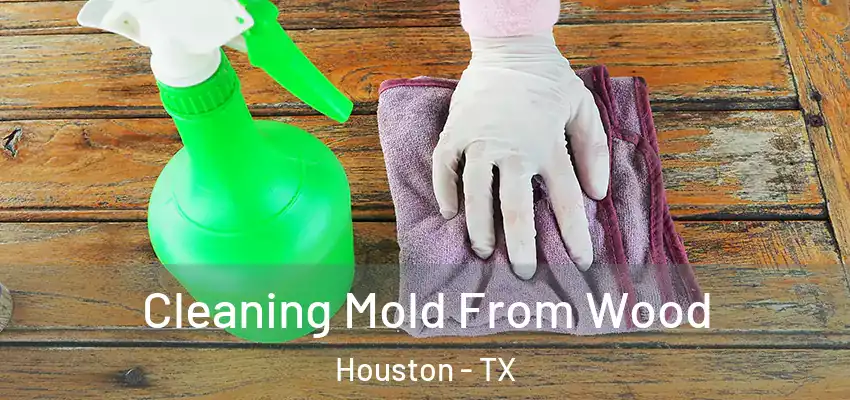 Cleaning Mold From Wood Houston - TX