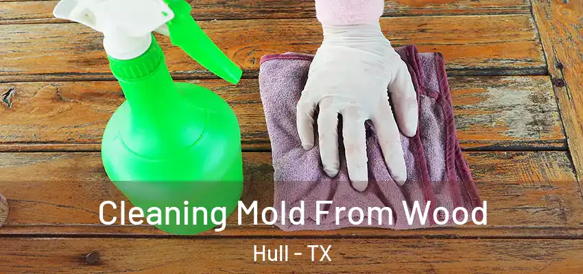  Cleaning Mold From Wood Hull - TX