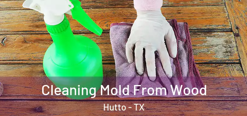 Cleaning Mold From Wood Hutto - TX