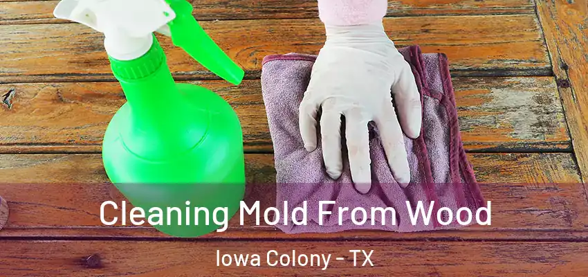 Cleaning Mold From Wood Iowa Colony - TX