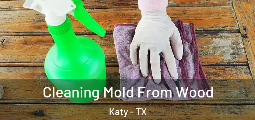  Cleaning Mold From Wood Katy - TX