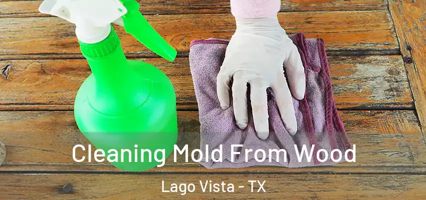 Cleaning Mold From Wood Lago Vista - TX