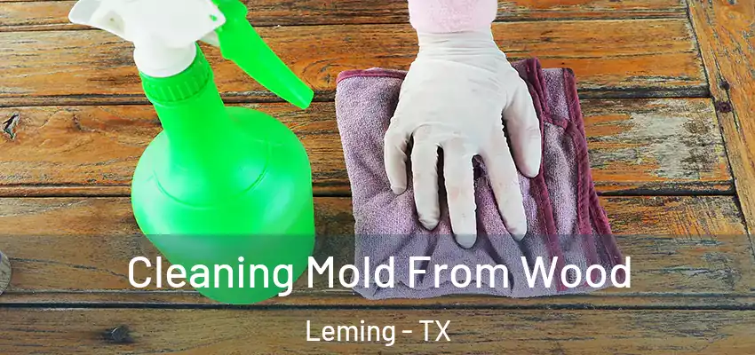  Cleaning Mold From Wood Leming - TX