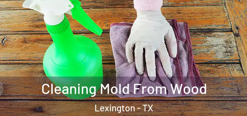 Cleaning Mold From Wood Lexington - TX