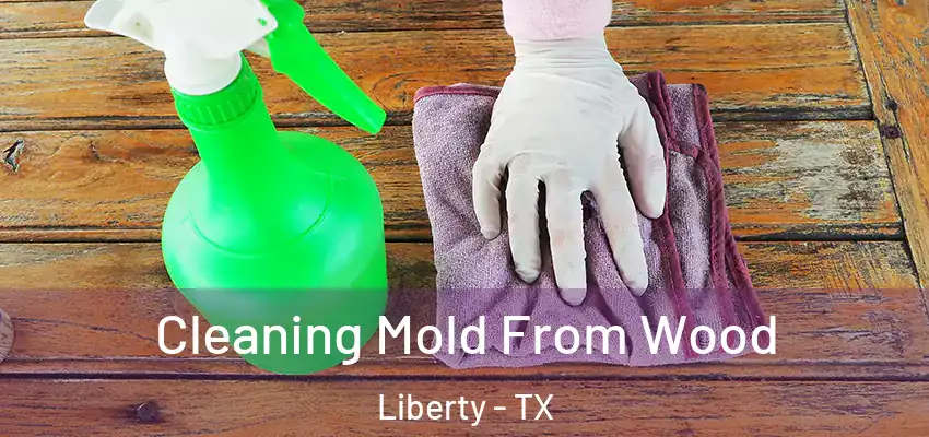 Cleaning Mold From Wood Liberty - TX