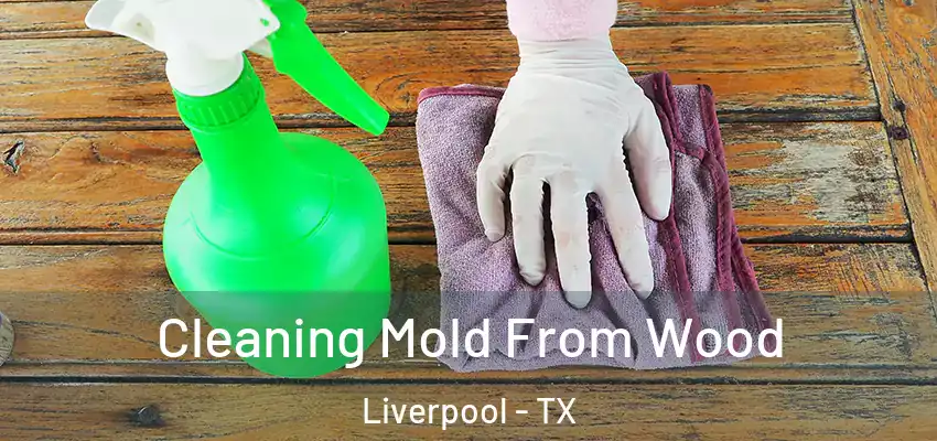 Cleaning Mold From Wood Liverpool - TX