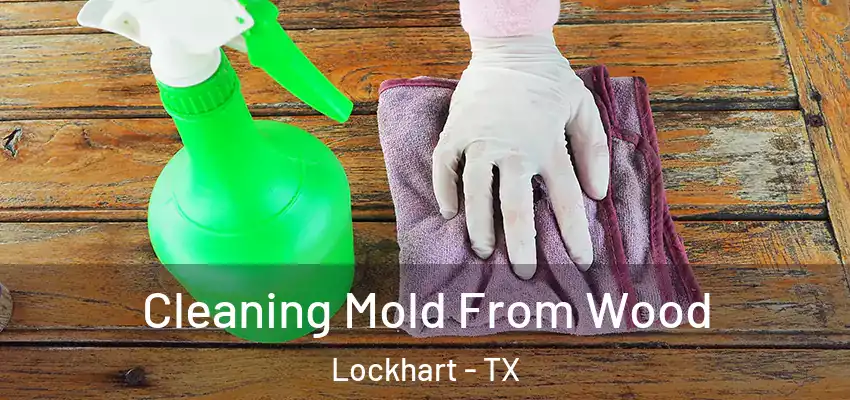  Cleaning Mold From Wood Lockhart - TX