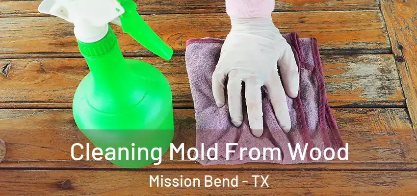  Cleaning Mold From Wood Mission Bend - TX
