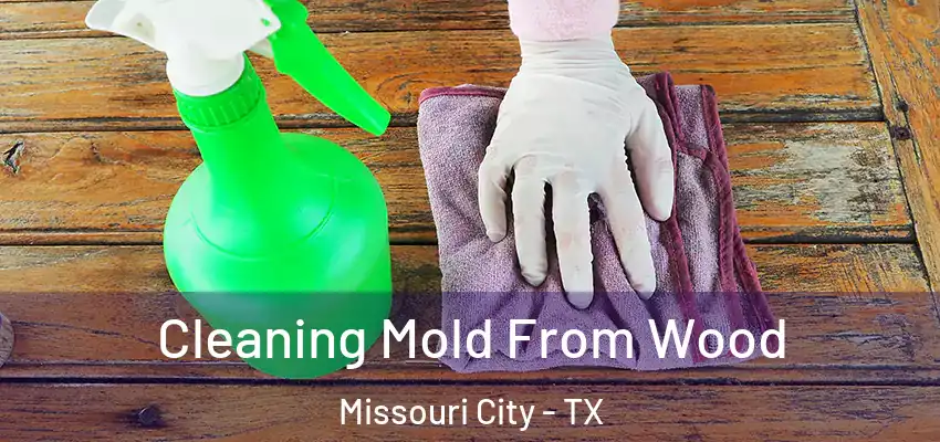 Cleaning Mold From Wood Missouri City - TX