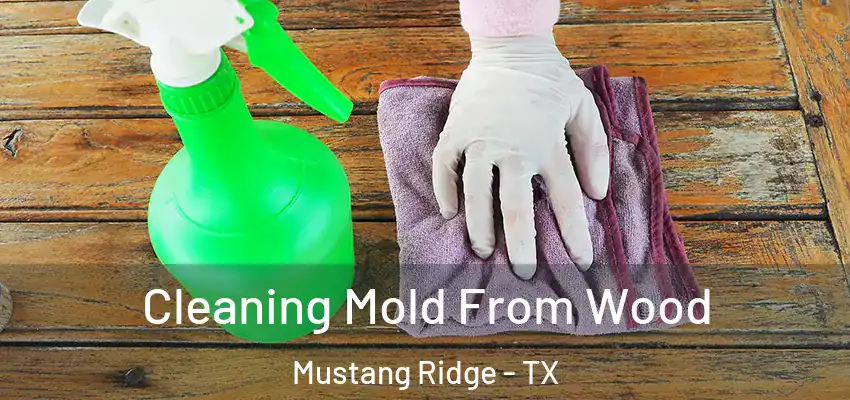  Cleaning Mold From Wood Mustang Ridge - TX