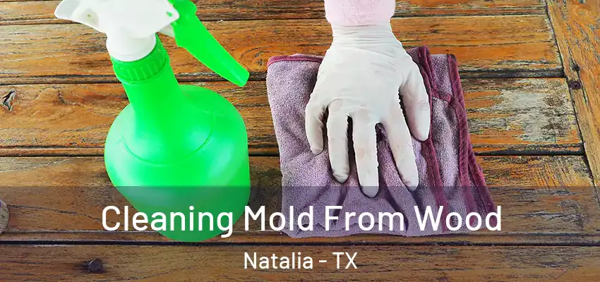 Cleaning Mold From Wood Natalia - TX
