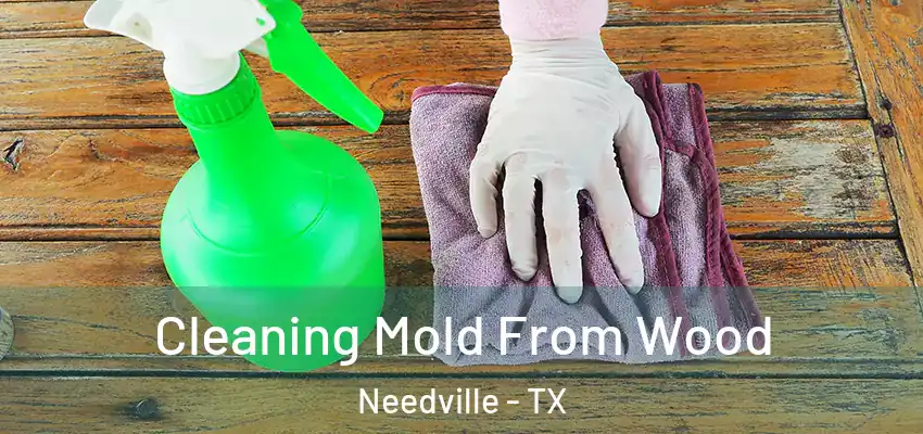  Cleaning Mold From Wood Needville - TX