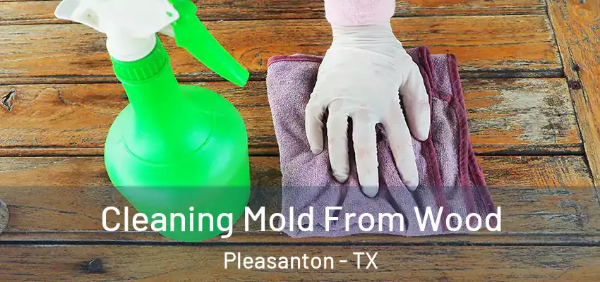 Cleaning Mold From Wood Pleasanton - TX