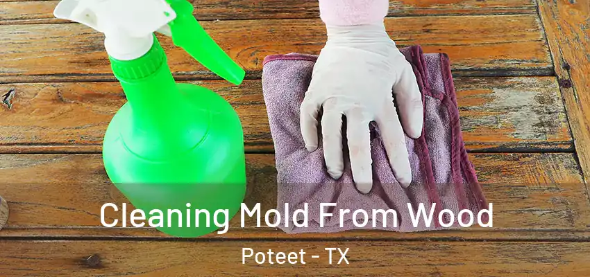  Cleaning Mold From Wood Poteet - TX