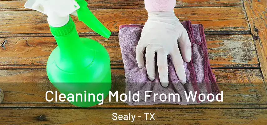  Cleaning Mold From Wood Sealy - TX
