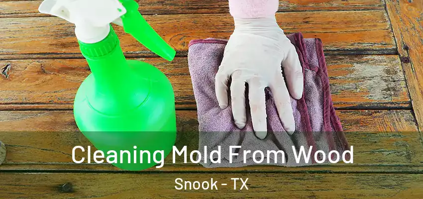  Cleaning Mold From Wood Snook - TX