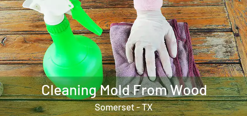  Cleaning Mold From Wood Somerset - TX