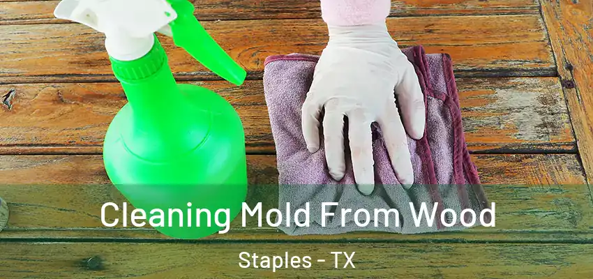  Cleaning Mold From Wood Staples - TX