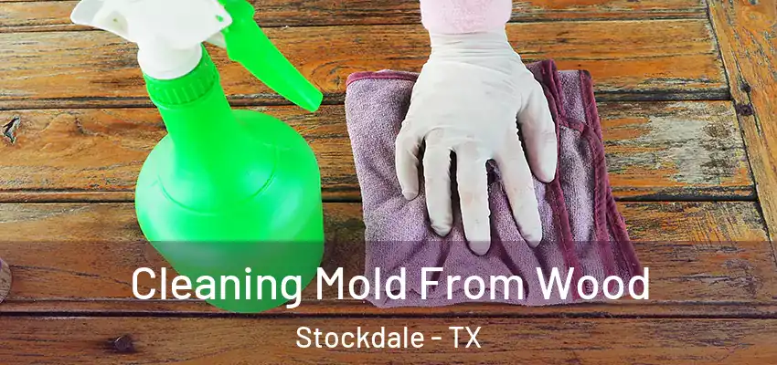  Cleaning Mold From Wood Stockdale - TX