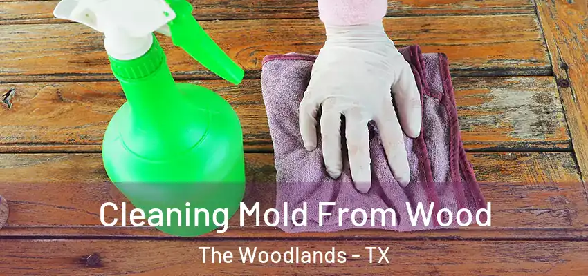  Cleaning Mold From Wood The Woodlands - TX