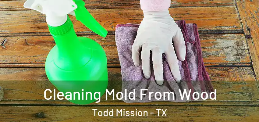Cleaning Mold From Wood Todd Mission - TX