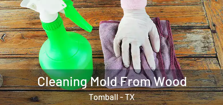  Cleaning Mold From Wood Tomball - TX