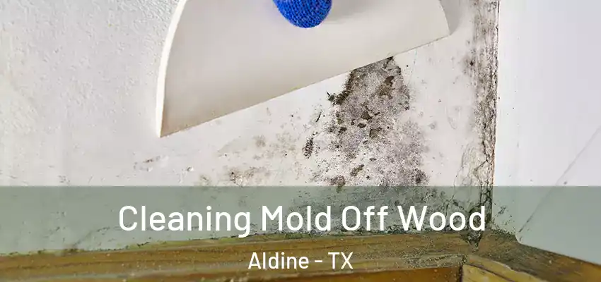 Cleaning Mold Off Wood Aldine - TX