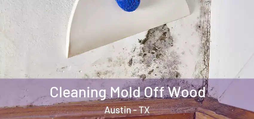  Cleaning Mold Off Wood Austin - TX