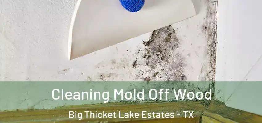Cleaning Mold Off Wood Big Thicket Lake Estates - TX
