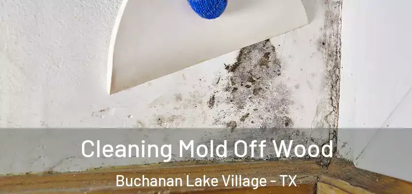 Cleaning Mold Off Wood Buchanan Lake Village - TX