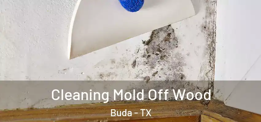  Cleaning Mold Off Wood Buda - TX