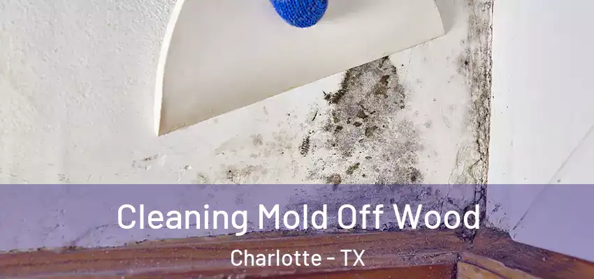  Cleaning Mold Off Wood Charlotte - TX