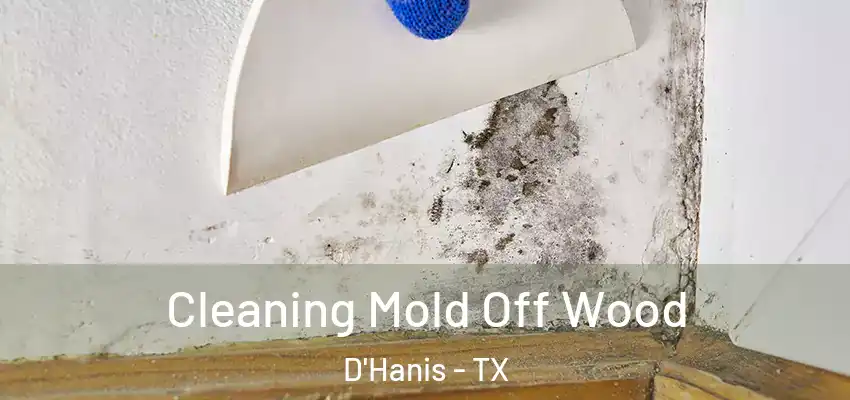  Cleaning Mold Off Wood D'Hanis - TX