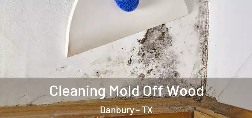  Cleaning Mold Off Wood Danbury - TX