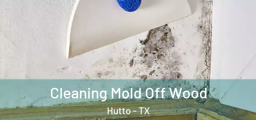 Cleaning Mold Off Wood Hutto - TX