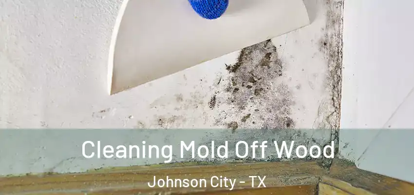  Cleaning Mold Off Wood Johnson City - TX