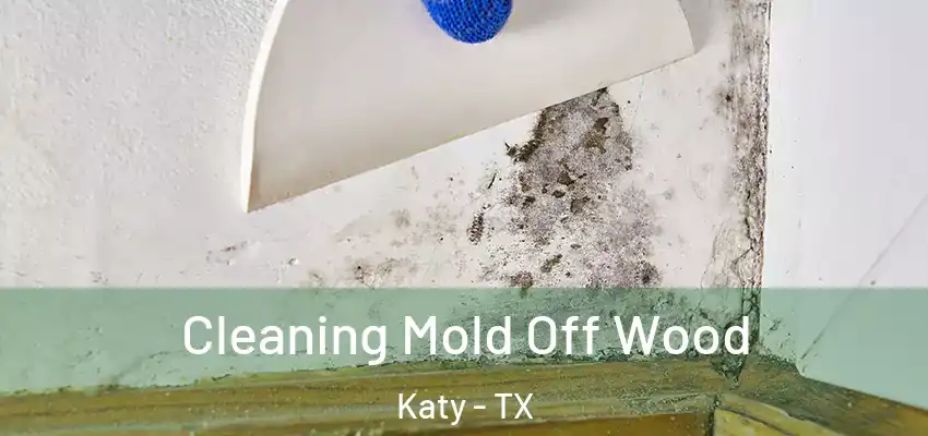 Cleaning Mold Off Wood Katy - TX