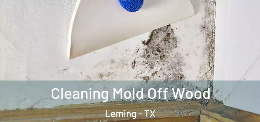  Cleaning Mold Off Wood Leming - TX